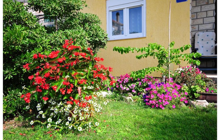 Apartments Renjak